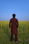 Maroon Royal Embroidered Kurta Pajama